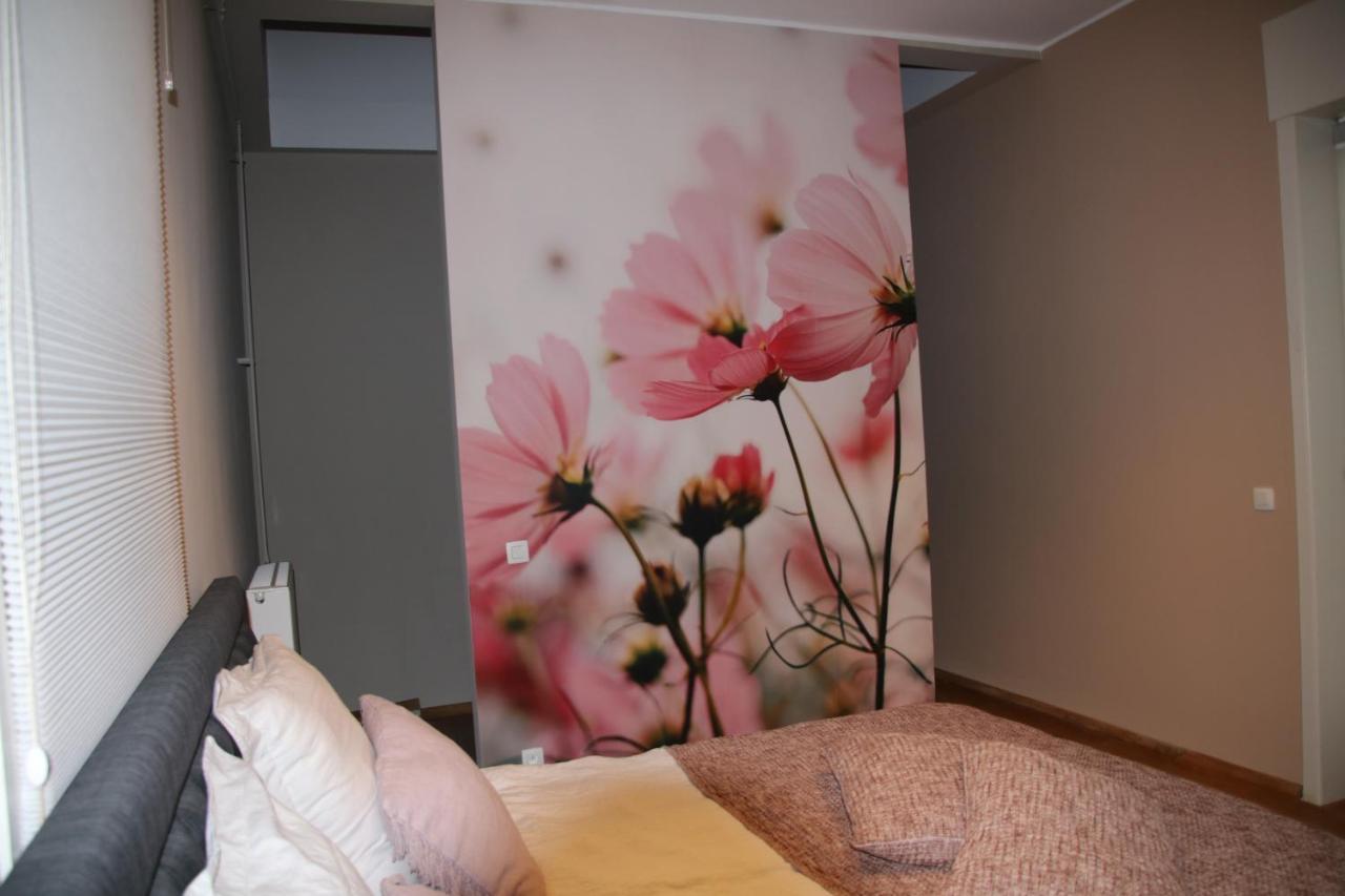 B&B Het Doctershoes Kinrooi Εξωτερικό φωτογραφία