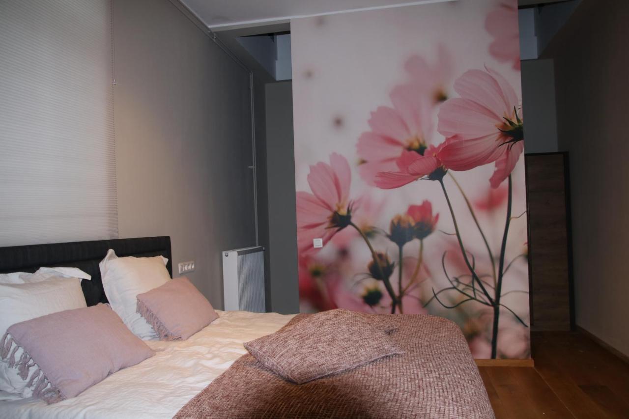 B&B Het Doctershoes Kinrooi Εξωτερικό φωτογραφία