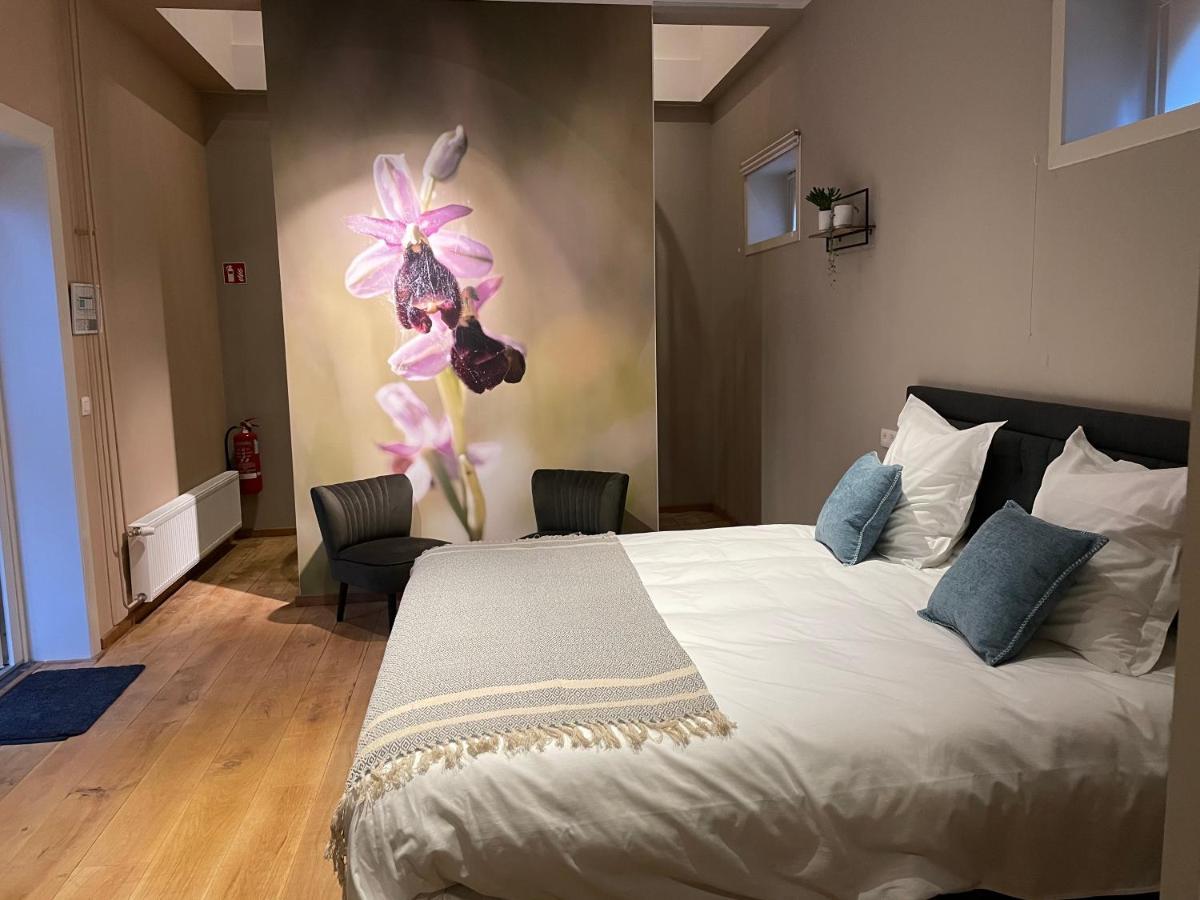 B&B Het Doctershoes Kinrooi Εξωτερικό φωτογραφία